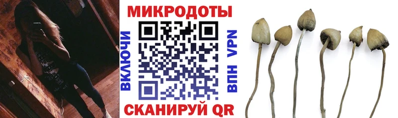 купить   Чебаркуль  Псилоцибиновые грибы GOLDEN TEACHER 